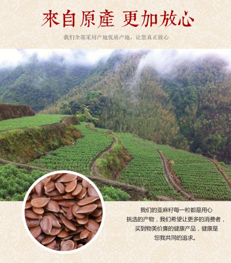 亚麻籽亚麻籽来源内蒙古天然子露生物科技包邮