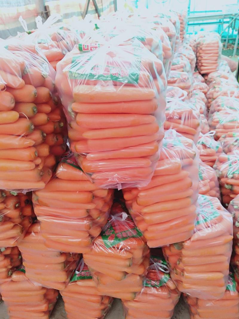 胡萝卜水洗带泥的带秧子的各种规格都有产地直发提供包装有设备