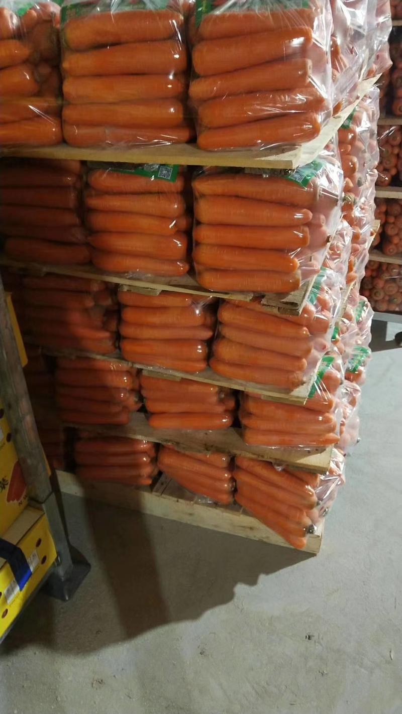 胡萝卜水洗带泥的带秧子的各种规格都有产地直发提供包装有设备