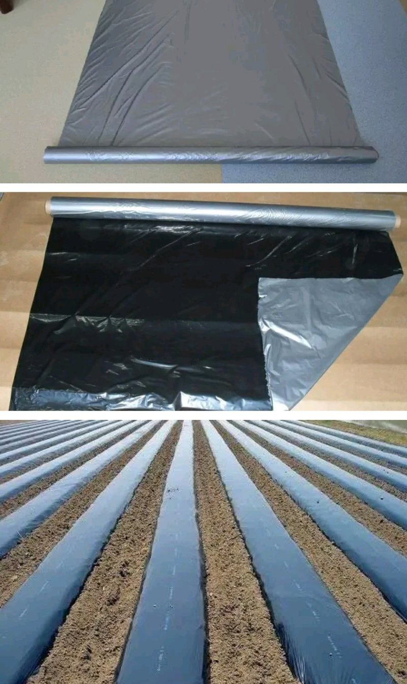 农资银黑双色地膜银灰双色膜农膜农用地膜除草地膜除草膜保温