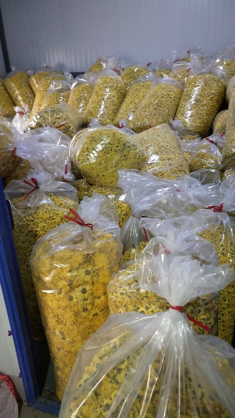 皇菊茶(婺源皇菊，想喝茶的可以加关注)河南茂林菊业合作社