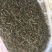 河虾青虾量大