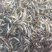 河虾青虾量大