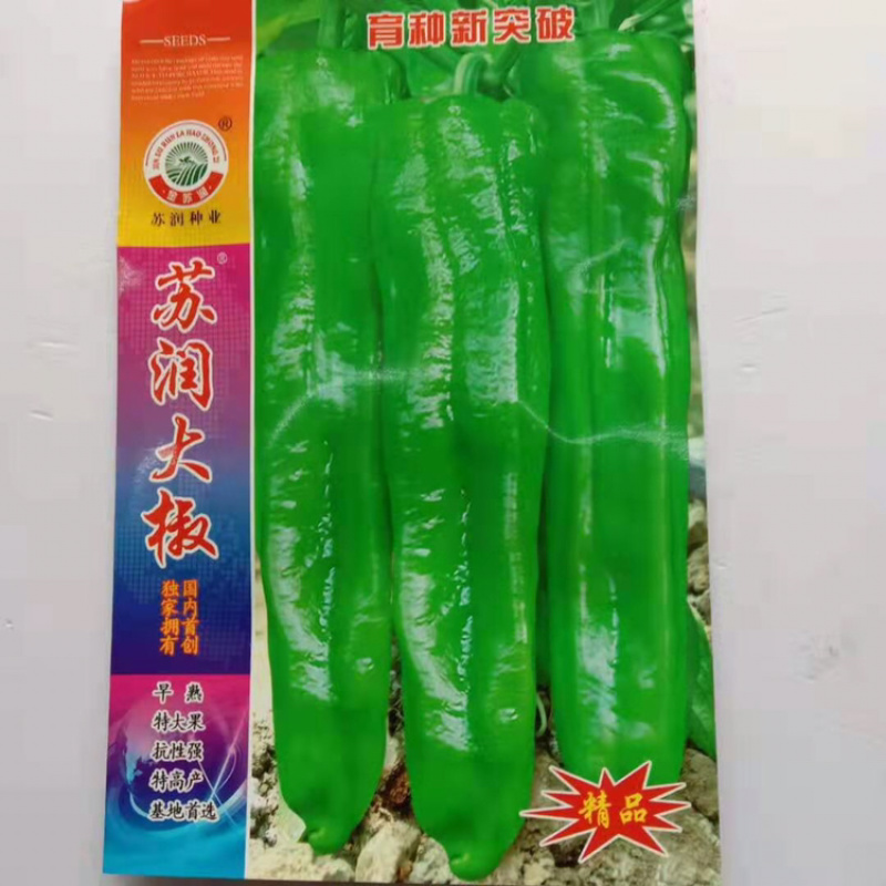 苏润大椒特大果牛角椒种子高产抗病辣椒种子微辣