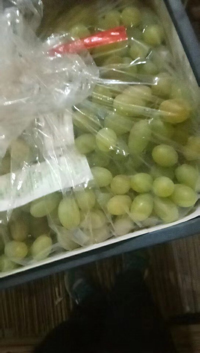 马奶葡萄糖度高颗粒大颜色好