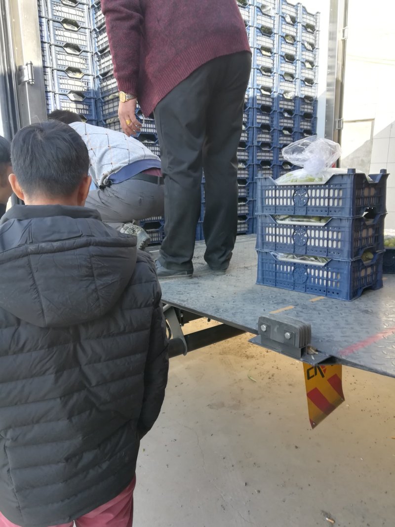 马奶葡萄糖度高颗粒大颜色好