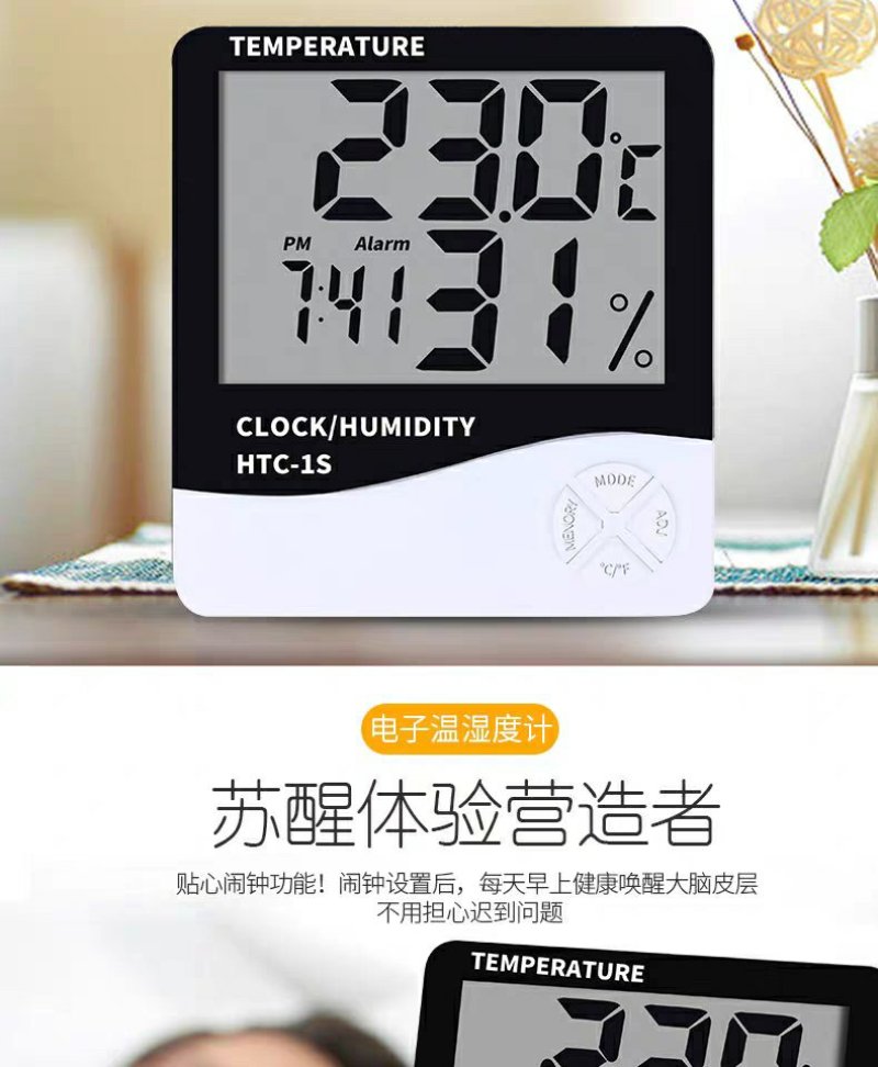 温湿度计家用温度计高精度室内创意壁挂式温度表大棚实验
