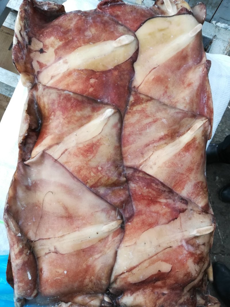 鱿鱼尾，鱿鱼耳，鱿鱼大耳，鱿鱼，原汁鱿鱼尾各种规格