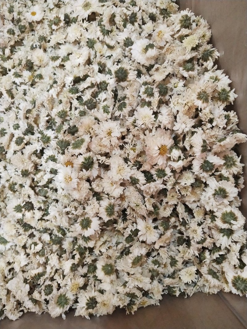 七月菊特/级白菊花七月菊贡菊花500g黄山贡菊花茶贡