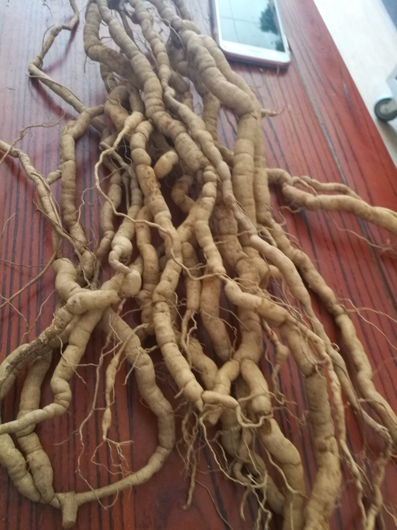 巴戟天，鸡肠风批发，有有量有价