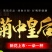 金丝皇菊