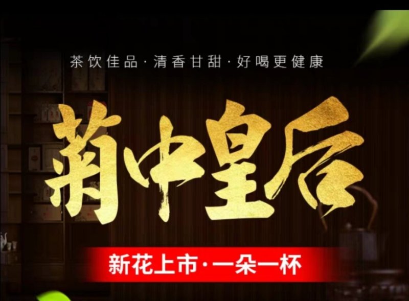 金丝皇菊
