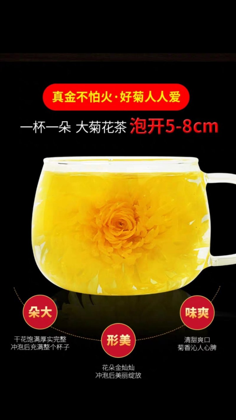 金丝皇菊