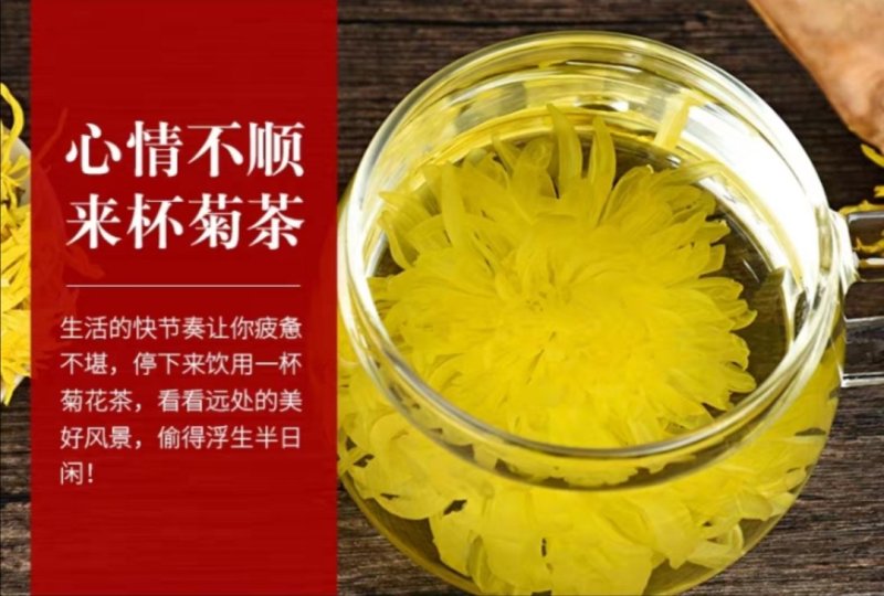 金丝皇菊