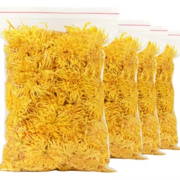金丝皇菊