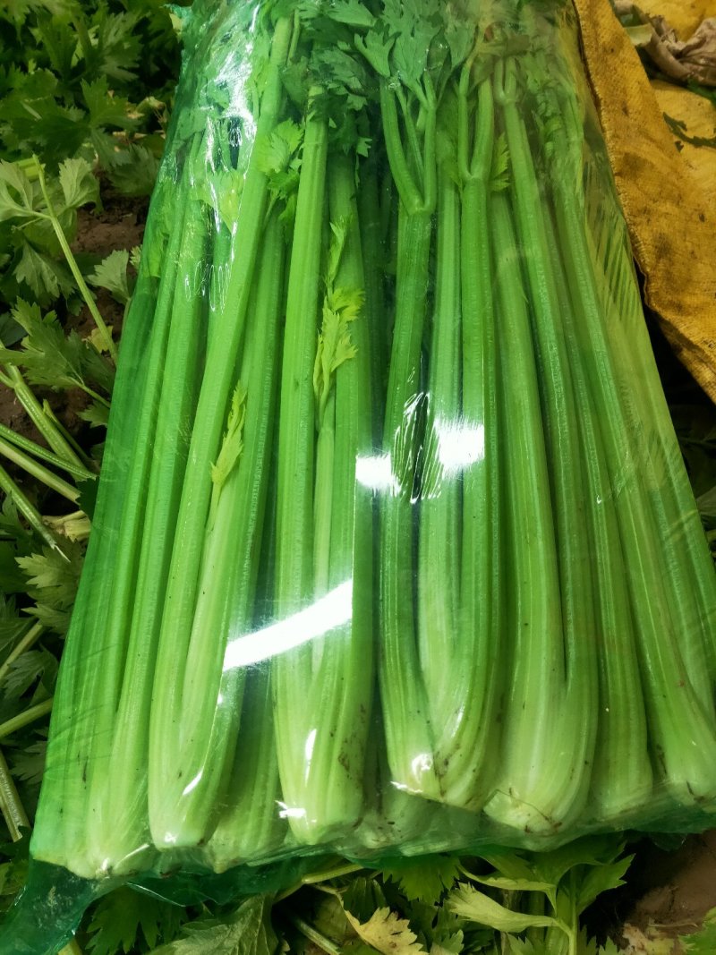 芹菜产地直发，工厂货，电商，批发市场，超市货都有。
