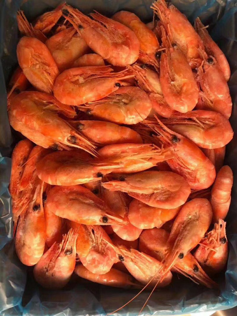 北极虾