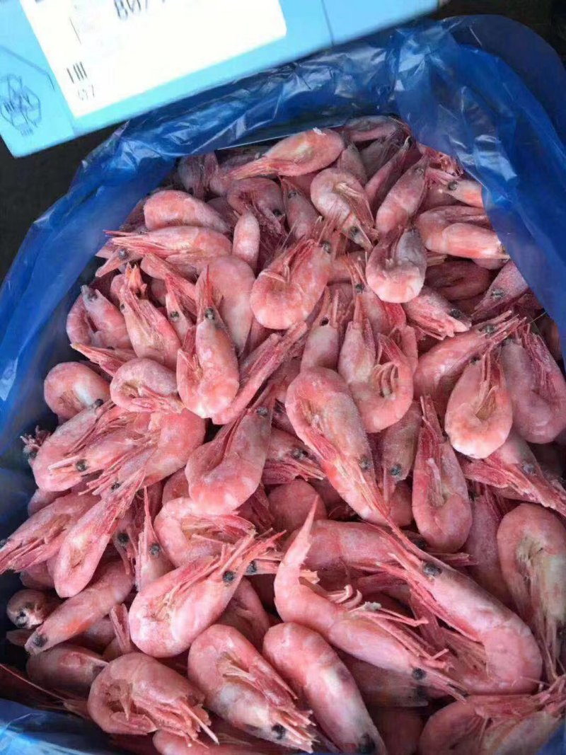 北极虾