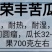 【荣丰苦瓜】高端杂交苦瓜种子耐热耐湿瓜色翠绿肉厚口感好