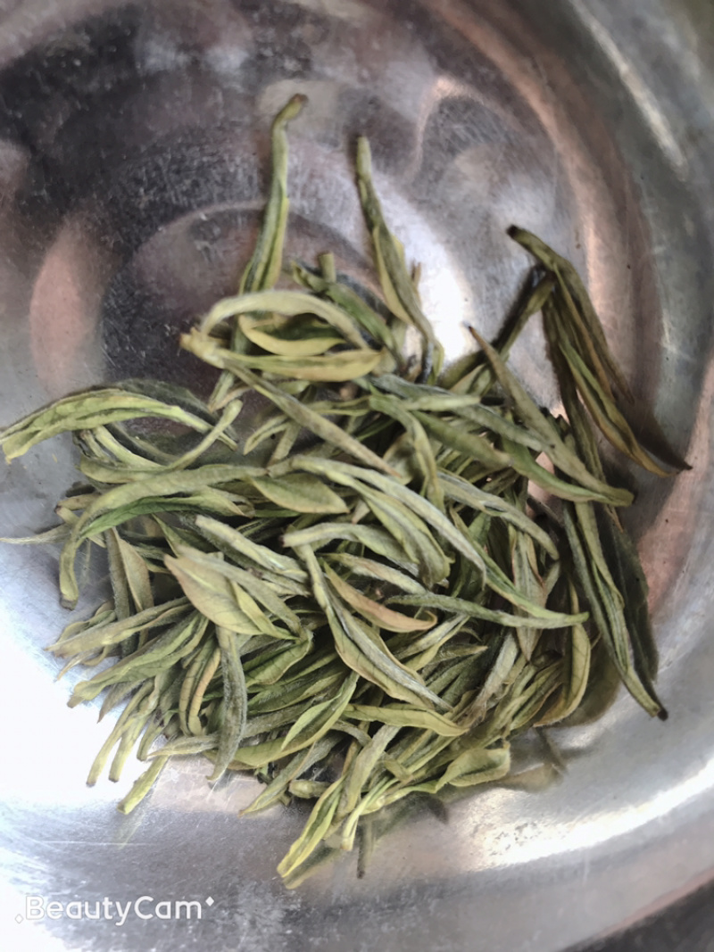 安吉白茶