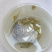 安吉白茶