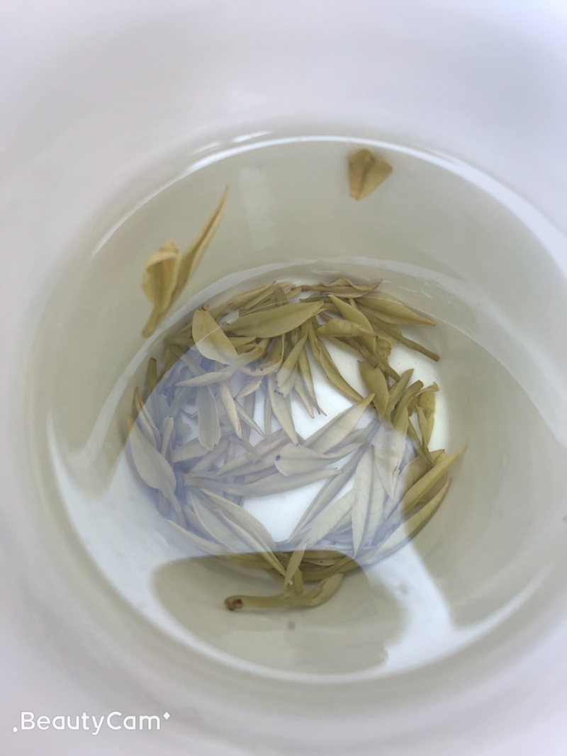 安吉白茶