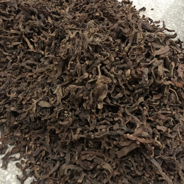 正品野生骨碎补中药材骨碎补粉