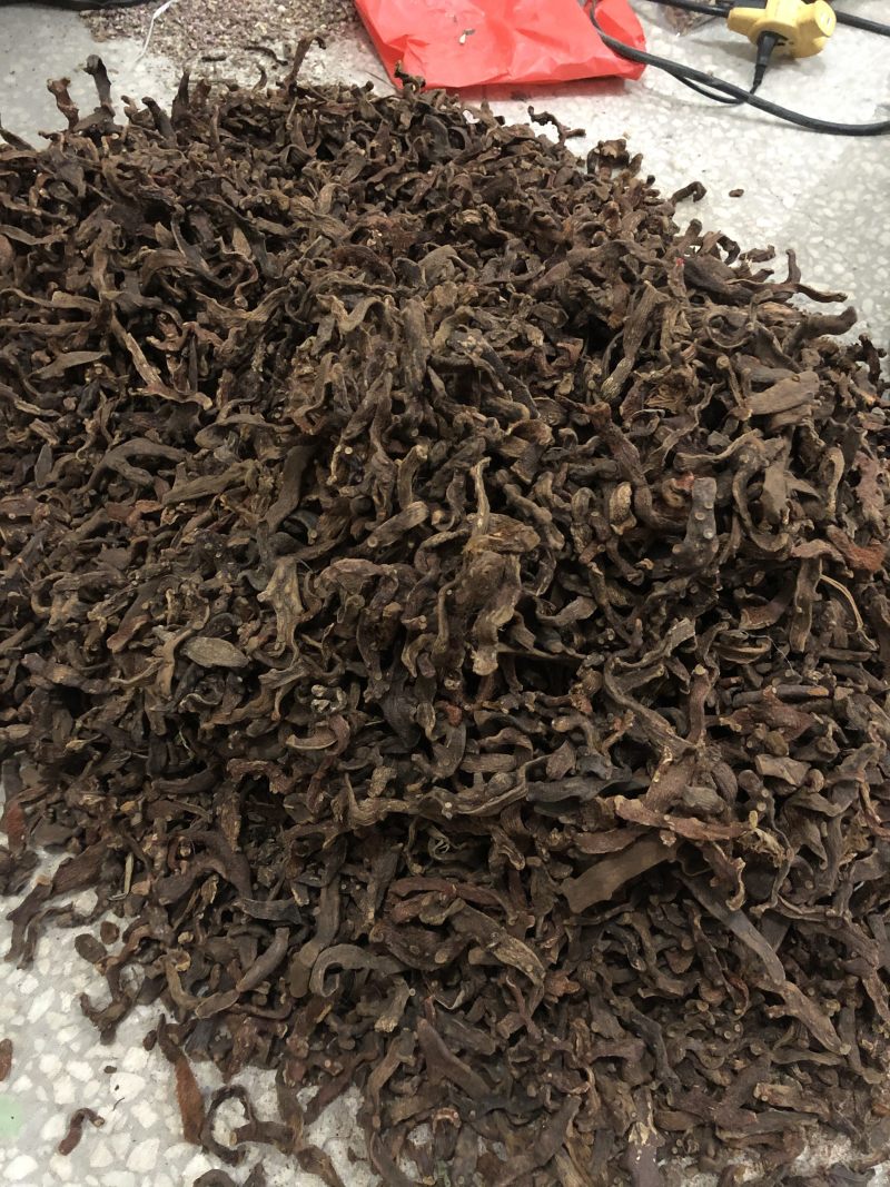 正品野生骨碎补中药材骨碎补粉