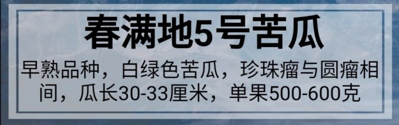 【春满地5号】杂交苦瓜种子珍珠苦瓜种子丰产抗病性早熟