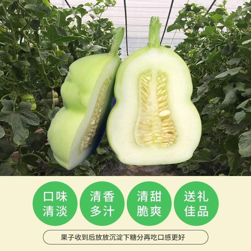 新鲜人参果人生果特级笑娃福娃人形娃娃果当季水果送礼水果包