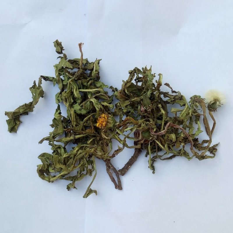 中药材蒲公英根整棵/切碎野生正品蒲公英量大从优