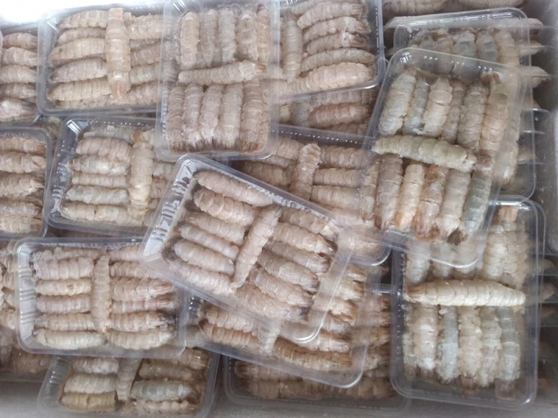 原浆生冻皮皮虾肉净重250克