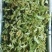 菜花干2022年春季新花菜干鲜嫩可口量大从优