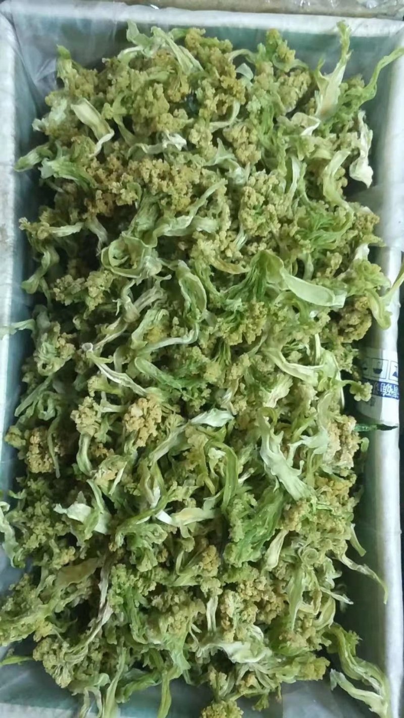 菜花干2022年春季新花菜干鲜嫩可口量大从优