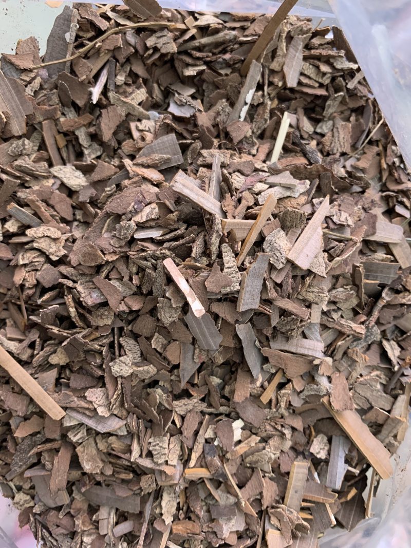 鬼箭羽中药材批发产地直销量大从优