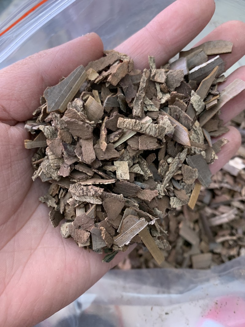 鬼箭羽中药材批发产地直销量大从优