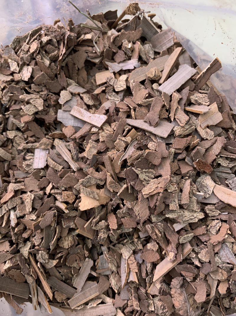 鬼箭羽中药材批发产地直销量大从优