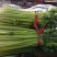 芹菜，西芹，香芹，质量好价格优