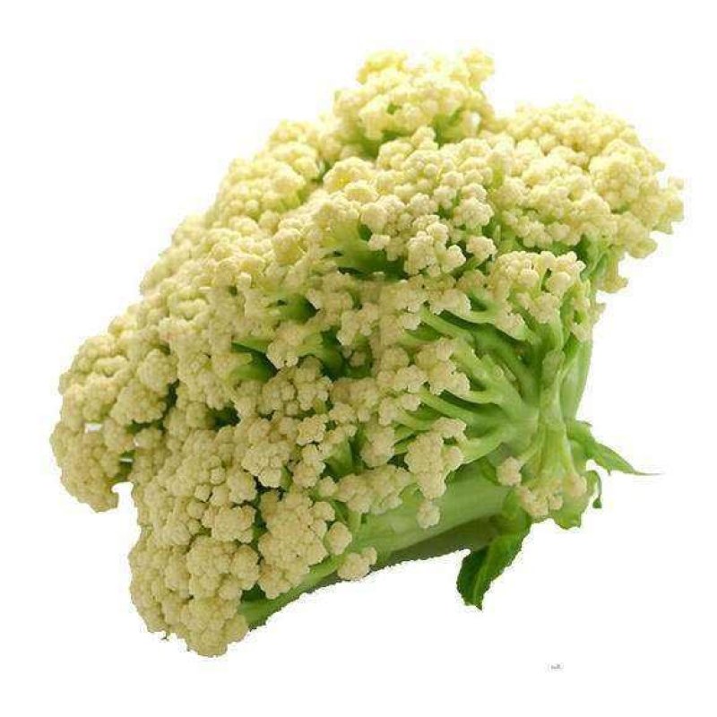 精品散菜花，产地直发，大量供应支持线上交易保证质量