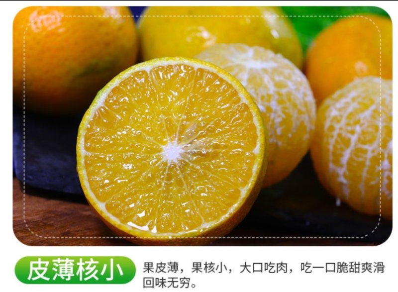 广西皇帝柑原产地现摘直发支持一件代发
