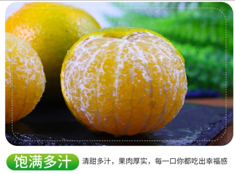广西皇帝柑原产地现摘直发支持一件代发