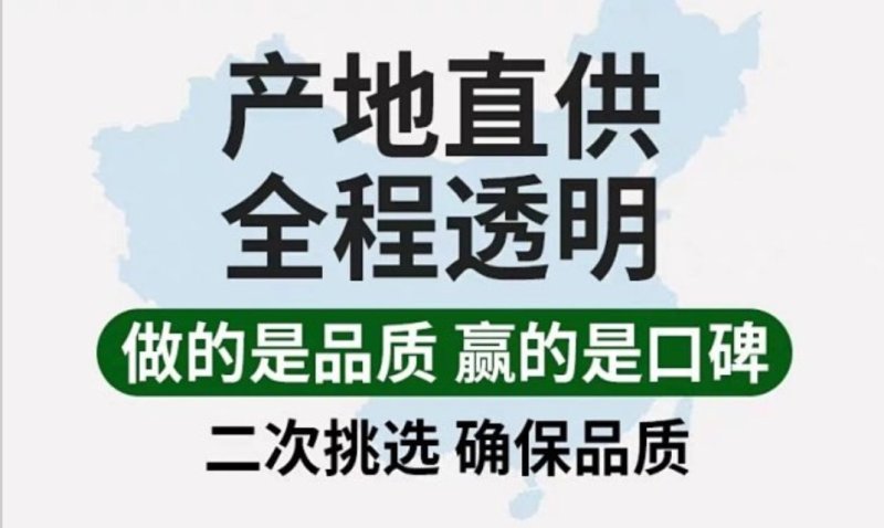 广西皇帝柑原产地现摘直发支持一件代发