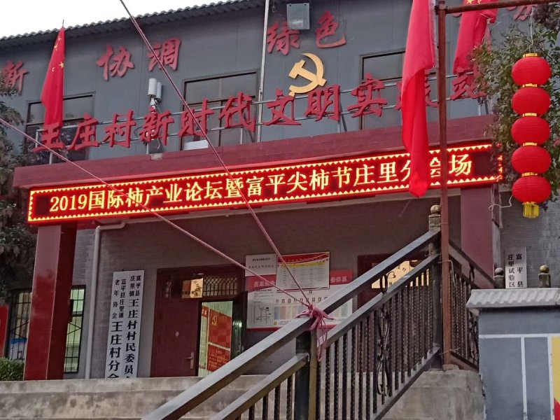 富平柿饼供