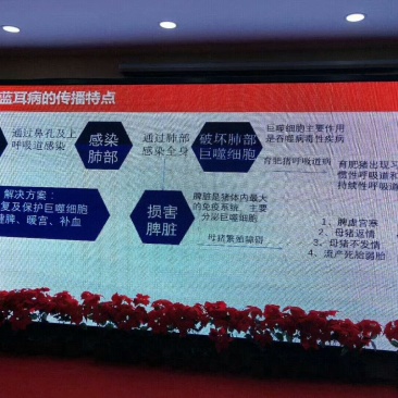 净化蓝耳病及母猪繁殖障碍问题