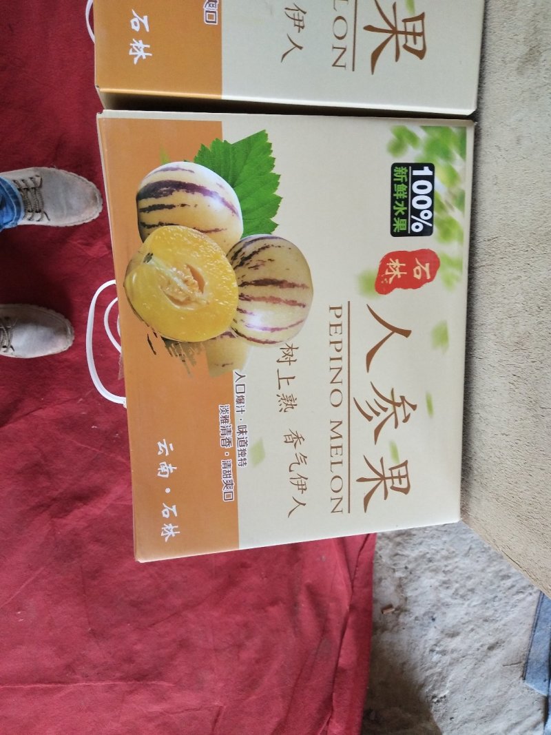 云南石林人参果基地直供