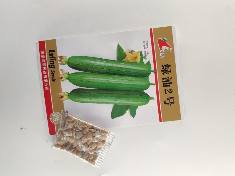 绿油2号短油皮丝瓜种籽白籽丝瓜种10克