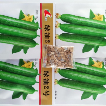 绿油2号短油皮丝瓜种籽白籽丝瓜种10克