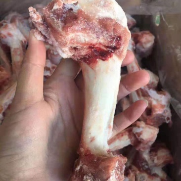 羔羊棒骨满满的肉厂家直销