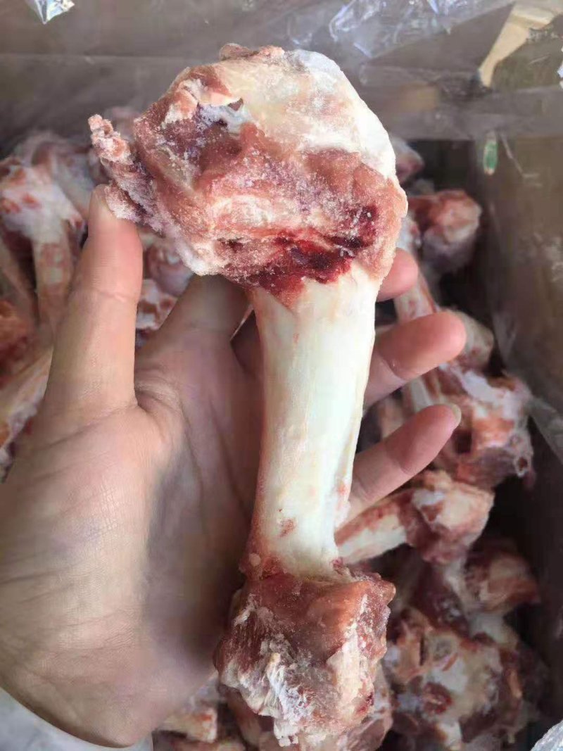 羔羊棒骨满满的肉厂家直销