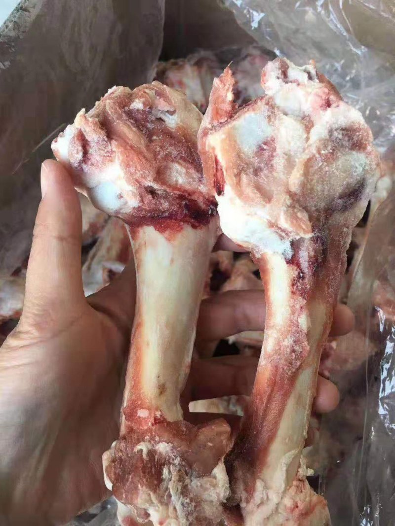 羔羊棒骨满满的肉厂家直销